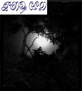 জনার্দন মন্ডলের ছবি