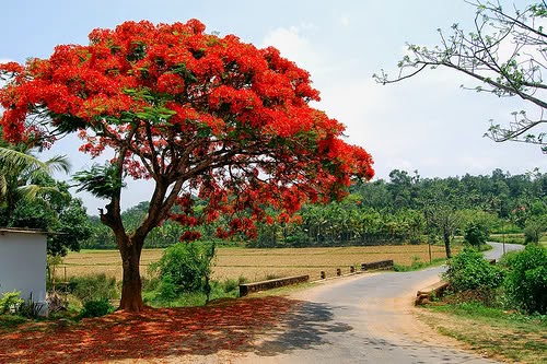 জন্মদিন – প্র ত্যু ষ   সে ন গু প্ত