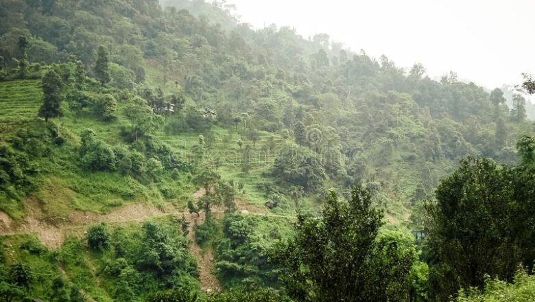 নেওড়া ভ্যালি জঙ্গলের রহস্য – সুরজিত সরখেল