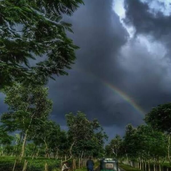 সুখ – ঋতপা ভট্টাচার্য 