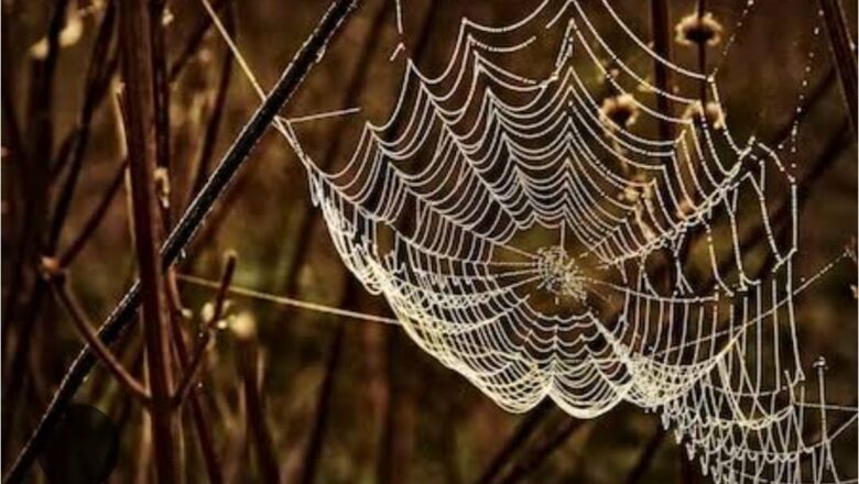ব্যুমেরাং – সুজয় কুমার দাশ