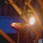 রোশনি – মধুমিতা মিত্র