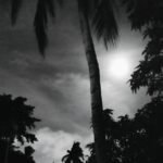 যুদ্ধরত – জয়িতা সরকার