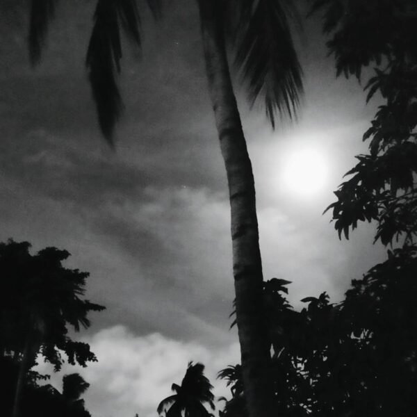 যুদ্ধরত – জয়িতা সরকার